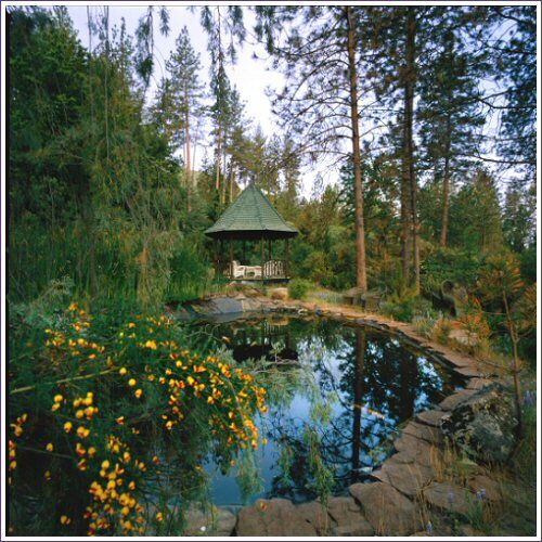 Chateau Du Sureau Hotel Oakhurst